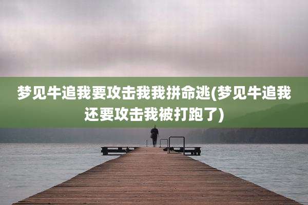梦见牛追我要攻击我我拼命逃(梦见牛追我还要攻击我被打跑了)