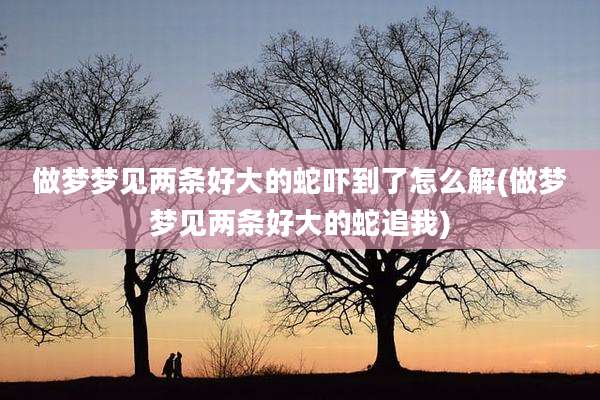 做梦梦见两条好大的蛇吓到了怎么解(做梦梦见两条好大的蛇追我)