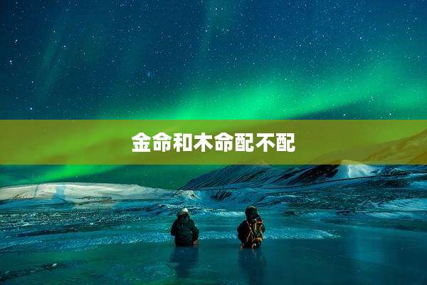 金命和木命配不配