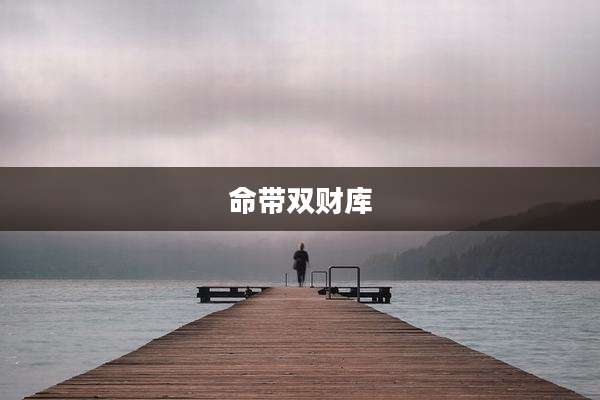 命带双财库
