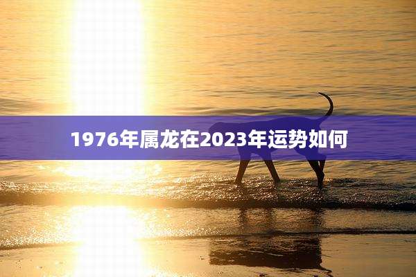 1976年属龙在2023年运势如何