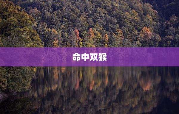 命中双猴