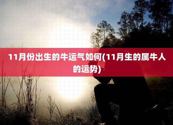 11月份出生的牛运气如何(11月生的属牛人的运势)