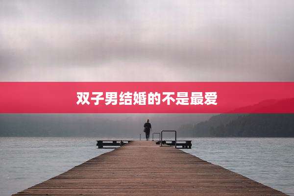 双子男结婚的不是最爱