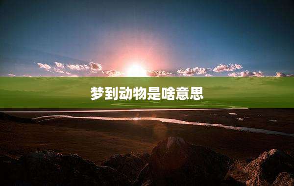 梦到动物是啥意思
