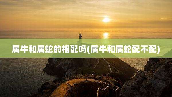 属牛和属蛇的相配吗(属牛和属蛇配不配)