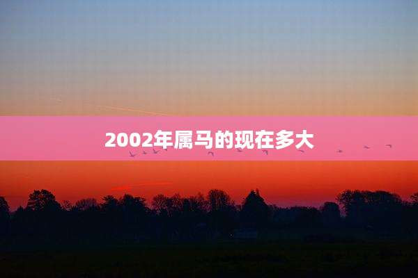 2002年属马的现在多大
