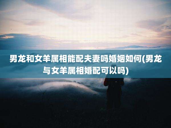 男龙和女羊属相能配夫妻吗婚姻如何(男龙与女羊属相婚配可以吗)