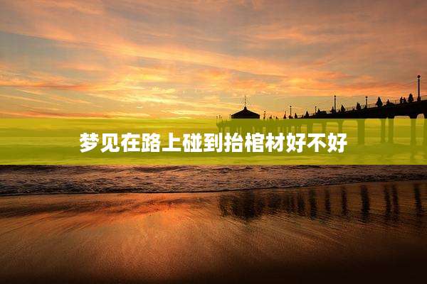 梦见在路上碰到抬棺材好不好