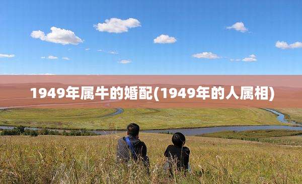 1949年属牛的婚配(1949年的人属相)