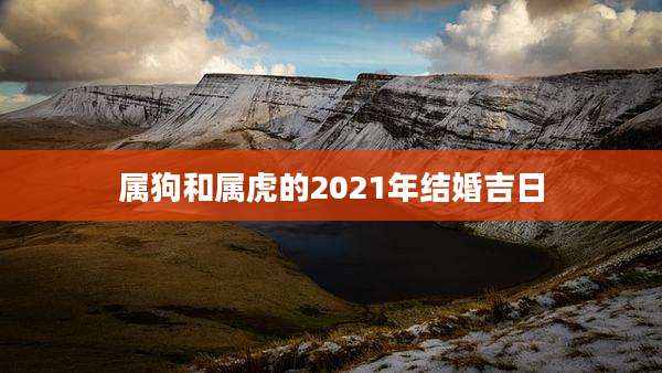 属狗和属虎的2021年结婚吉日