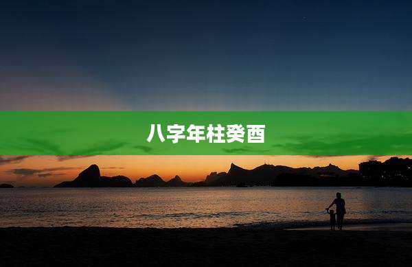八字年柱癸酉