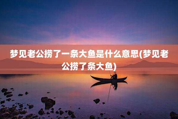 梦见老公捞了一条大鱼是什么意思(梦见老公捞了条大鱼)