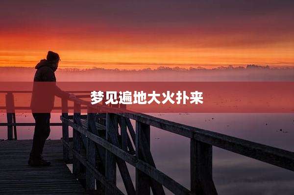 梦见遍地大火扑来