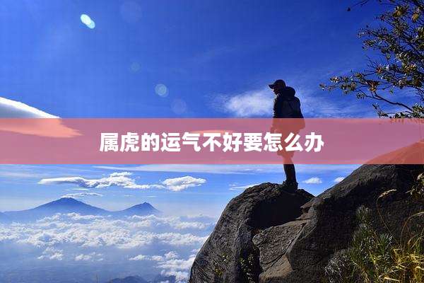 属虎的运气不好要怎么办