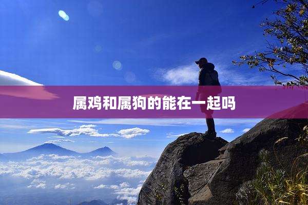 属鸡和属狗的能在一起吗