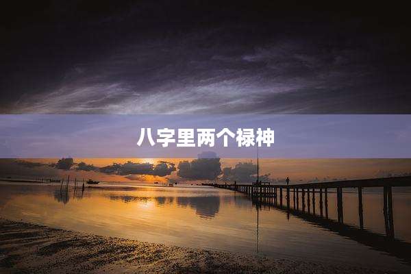 八字里两个禄神
