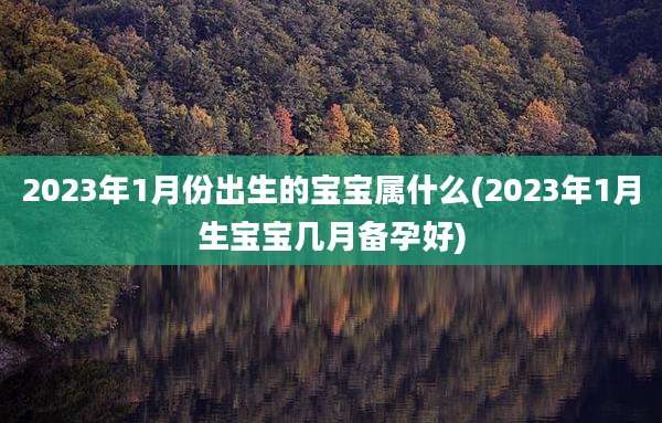 2023年1月份出生的宝宝属什么(2023年1月生宝宝几月备孕好)
