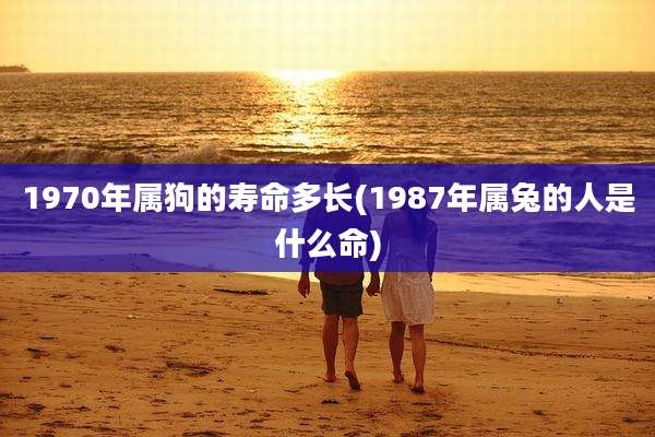 1970年属狗的寿命多长(1987年属兔的人是什么命)