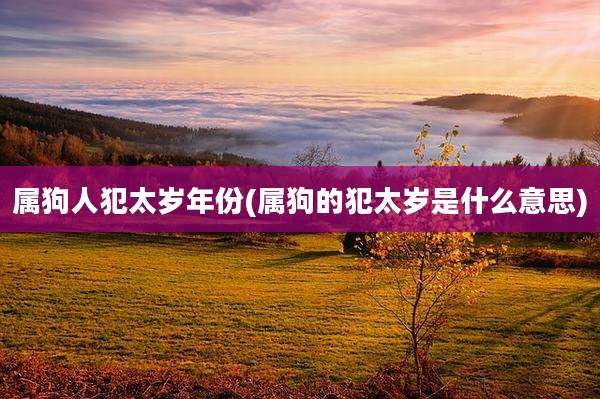 属狗人犯太岁年份(属狗的犯太岁是什么意思)