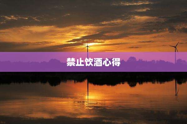 禁止饮酒心得
