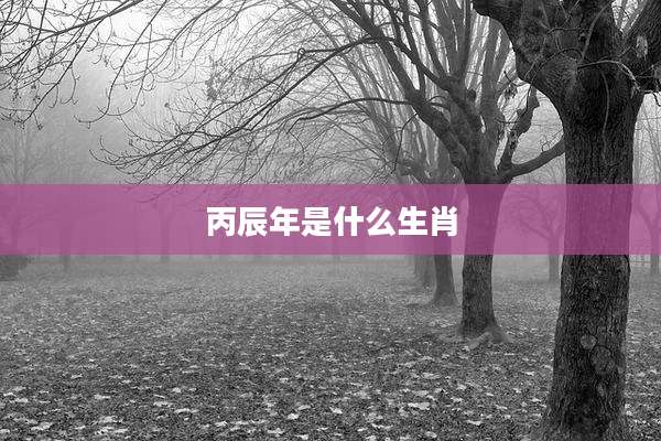 丙辰年是什么生肖