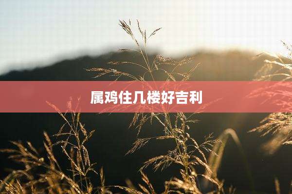 属鸡住几楼好吉利