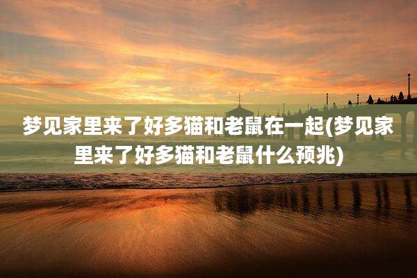 梦见家里来了好多猫和老鼠在一起(梦见家里来了好多猫和老鼠什么预兆)