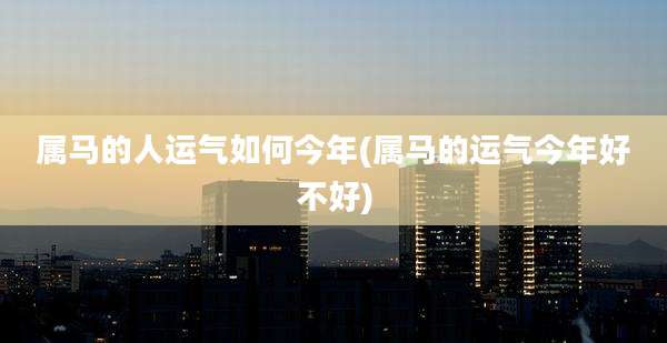 属马的人运气如何今年(属马的运气今年好不好)