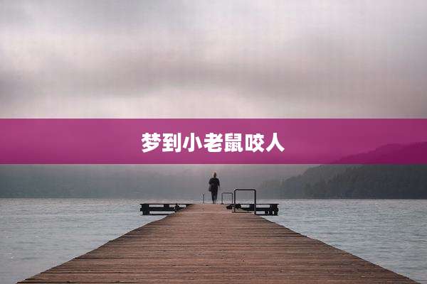梦到小老鼠咬人