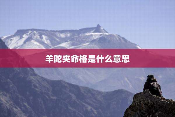 羊陀夹命格是什么意思