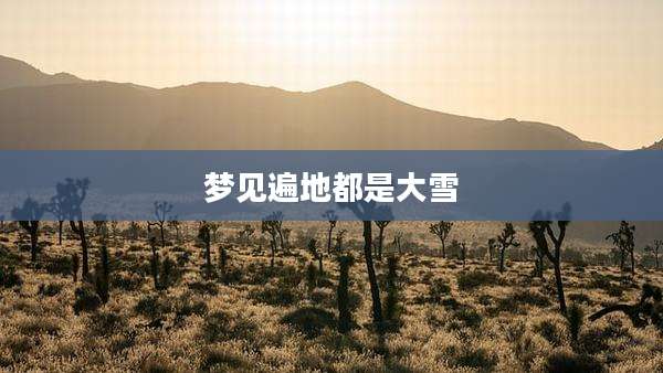 梦见遍地都是大雪