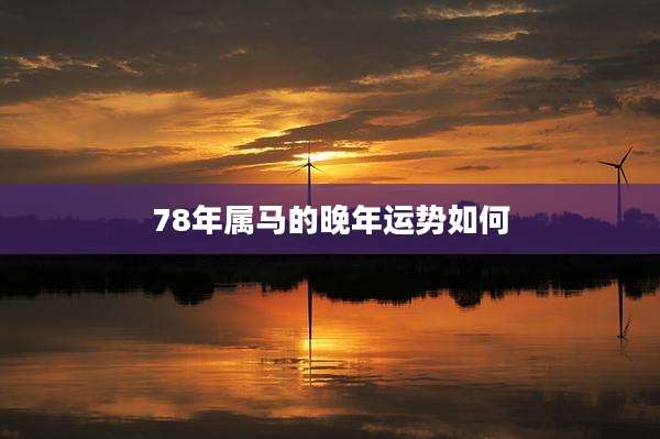 78年属马的晚年运势如何