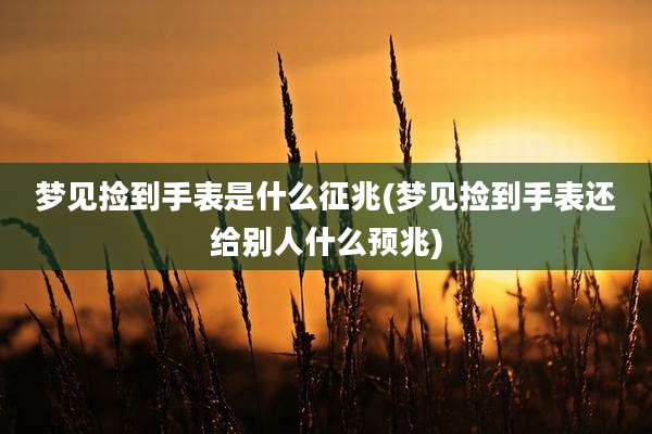 梦见捡到手表是什么征兆(梦见捡到手表还给别人什么预兆)