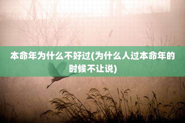 本命年为什么不好过(为什么人过本命年的时候不让说)