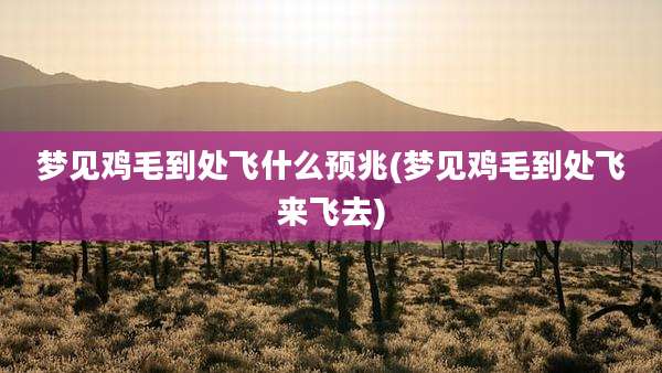 梦见鸡毛到处飞什么预兆(梦见鸡毛到处飞来飞去)