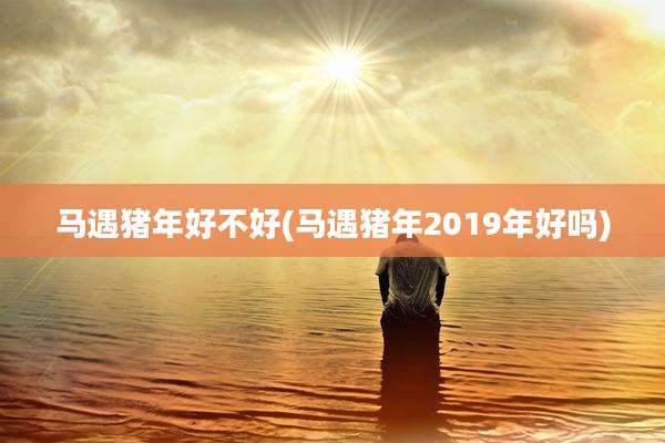 马遇猪年好不好(马遇猪年2019年好吗)