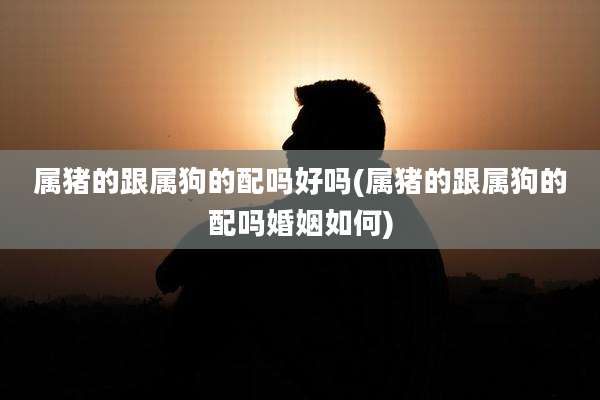 属猪的跟属狗的配吗好吗(属猪的跟属狗的配吗婚姻如何)