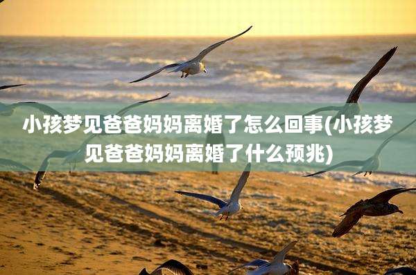 小孩梦见爸爸妈妈离婚了怎么回事(小孩梦见爸爸妈妈离婚了什么预兆)