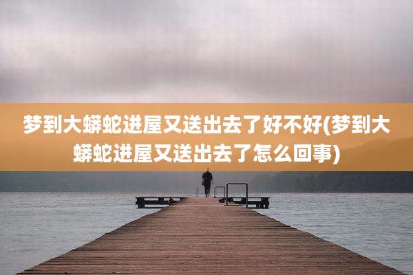 梦到大蟒蛇进屋又送出去了好不好(梦到大蟒蛇进屋又送出去了怎么回事)