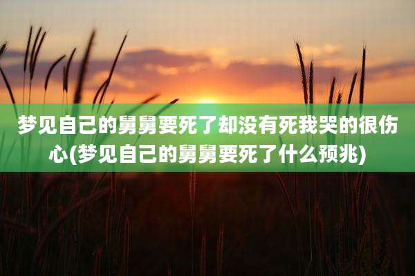 梦见自己的舅舅要死了却没有死我哭的很伤心(梦见自己的舅舅要死了什么预兆)