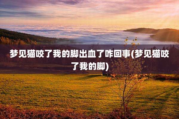 梦见猫咬了我的脚出血了咋回事(梦见猫咬了我的脚)
