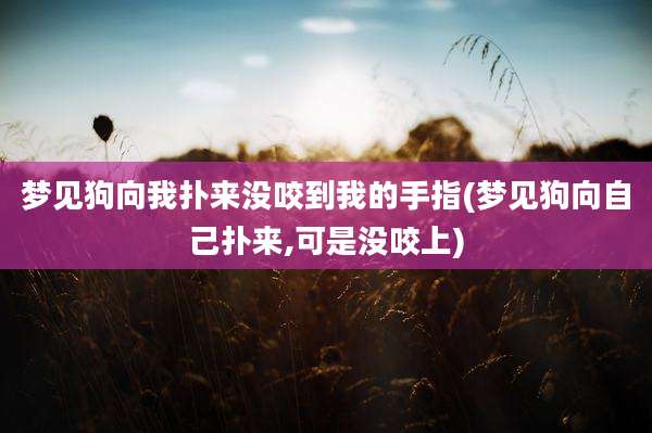 梦见狗向我扑来没咬到我的手指(梦见狗向自己扑来,可是没咬上)