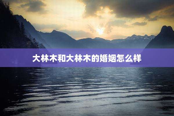 大林木和大林木的婚姻怎么样
