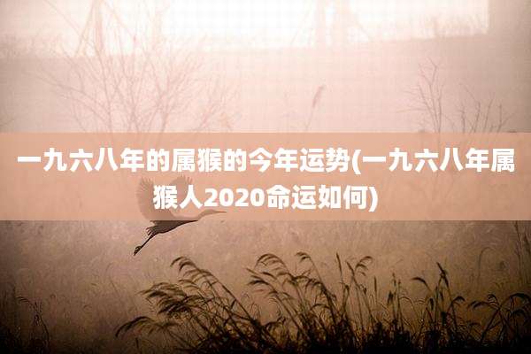 一九六八年的属猴的今年运势(一九六八年属猴人2020命运如何)