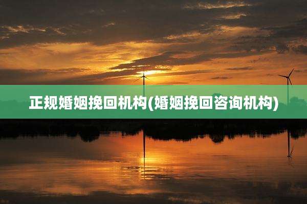 正规婚姻挽回机构(婚姻挽回咨询机构)