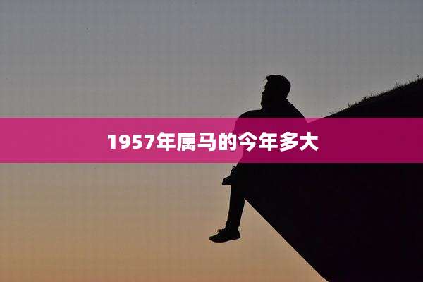 1957年属马的今年多大