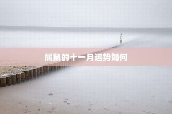 属鼠的十一月运势如何