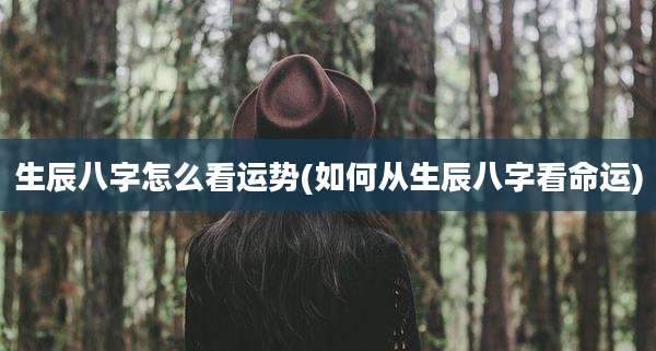 生辰八字怎么看运势(如何从生辰八字看命运)