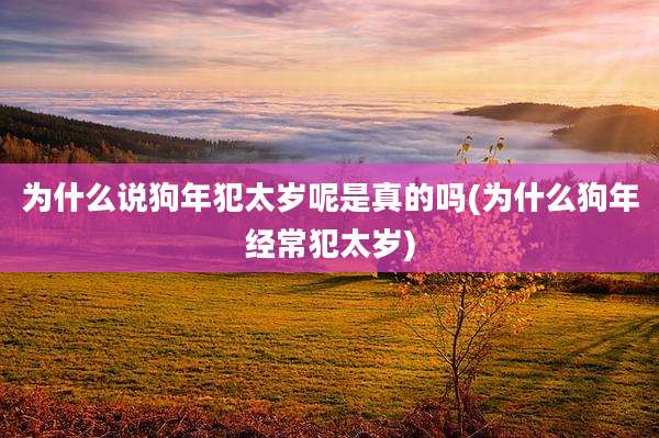 为什么说狗年犯太岁呢是真的吗(为什么狗年经常犯太岁)
